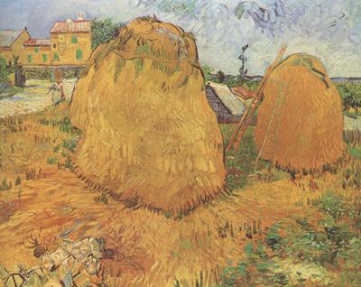 Vincent Van Gogh Haystacks in Provence (nn04) Norge oil painting art